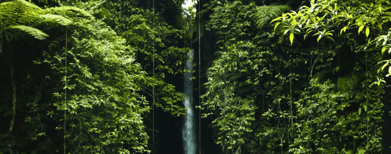 BANNER (1400 x 600 px) (30) (1)